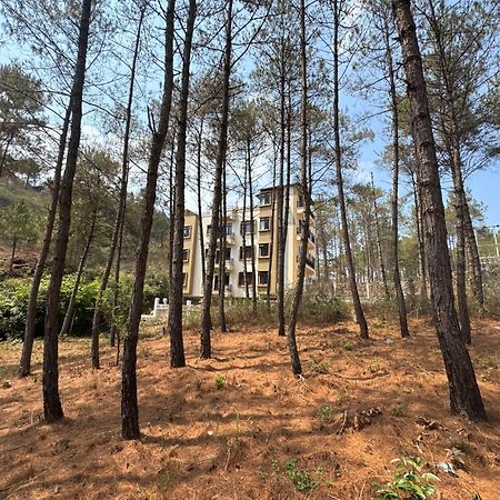 Xtsy Travellers Hostel Shillong Luaran gambar