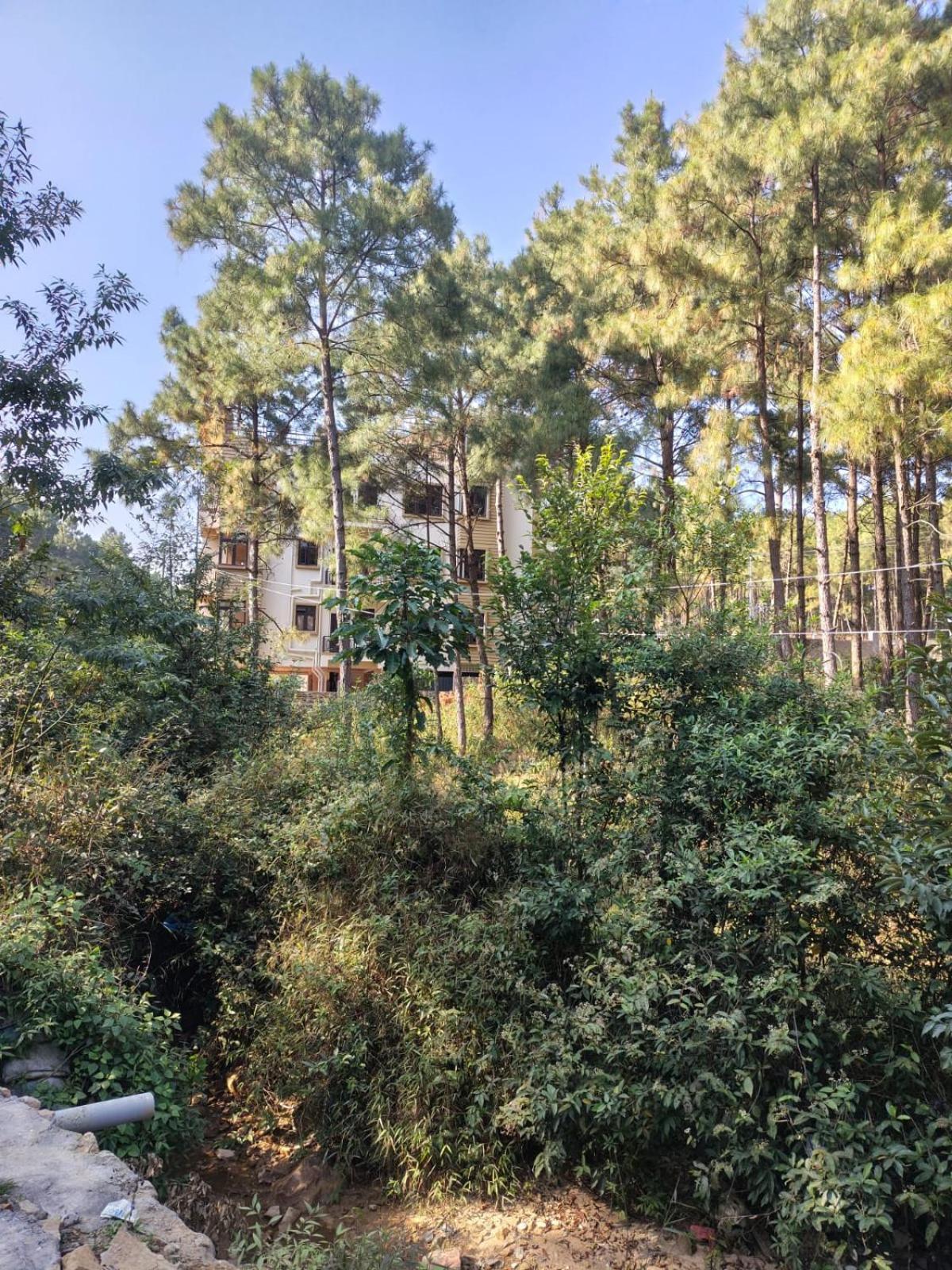 Xtsy Travellers Hostel Shillong Luaran gambar