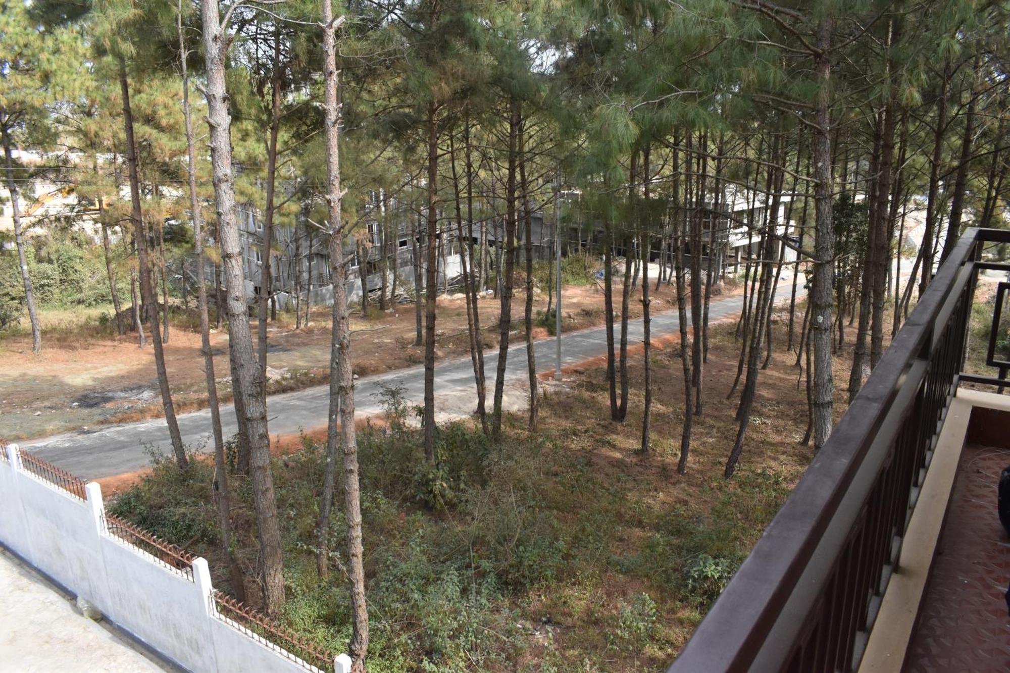 Xtsy Travellers Hostel Shillong Luaran gambar