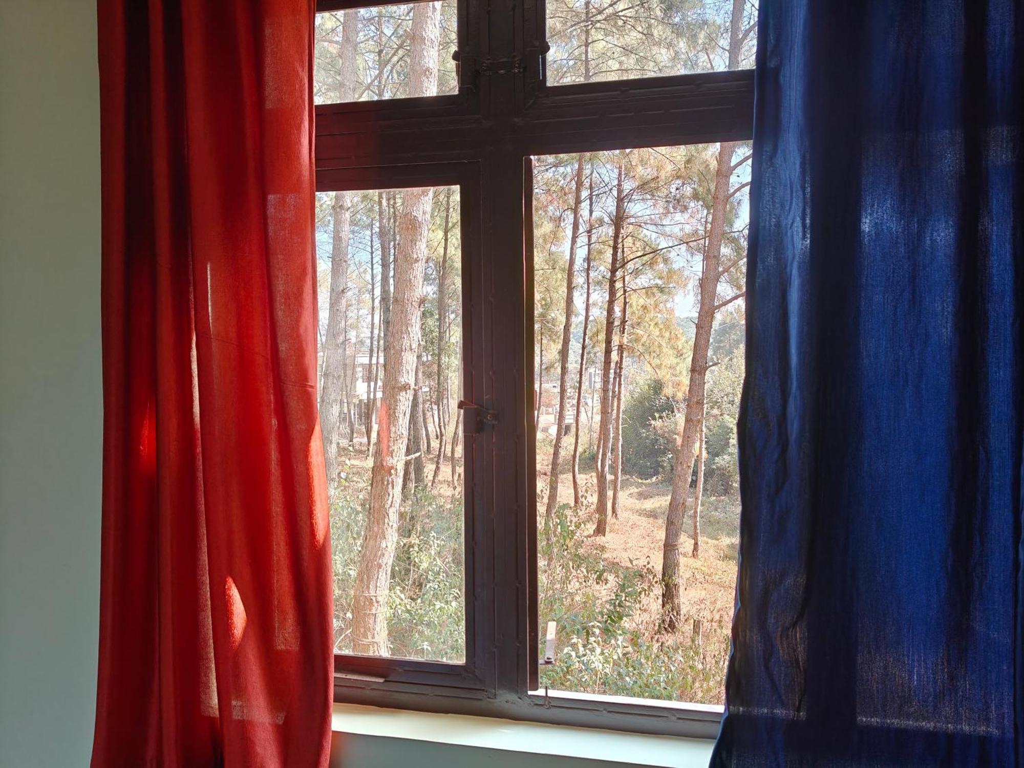Xtsy Travellers Hostel Shillong Bilik gambar