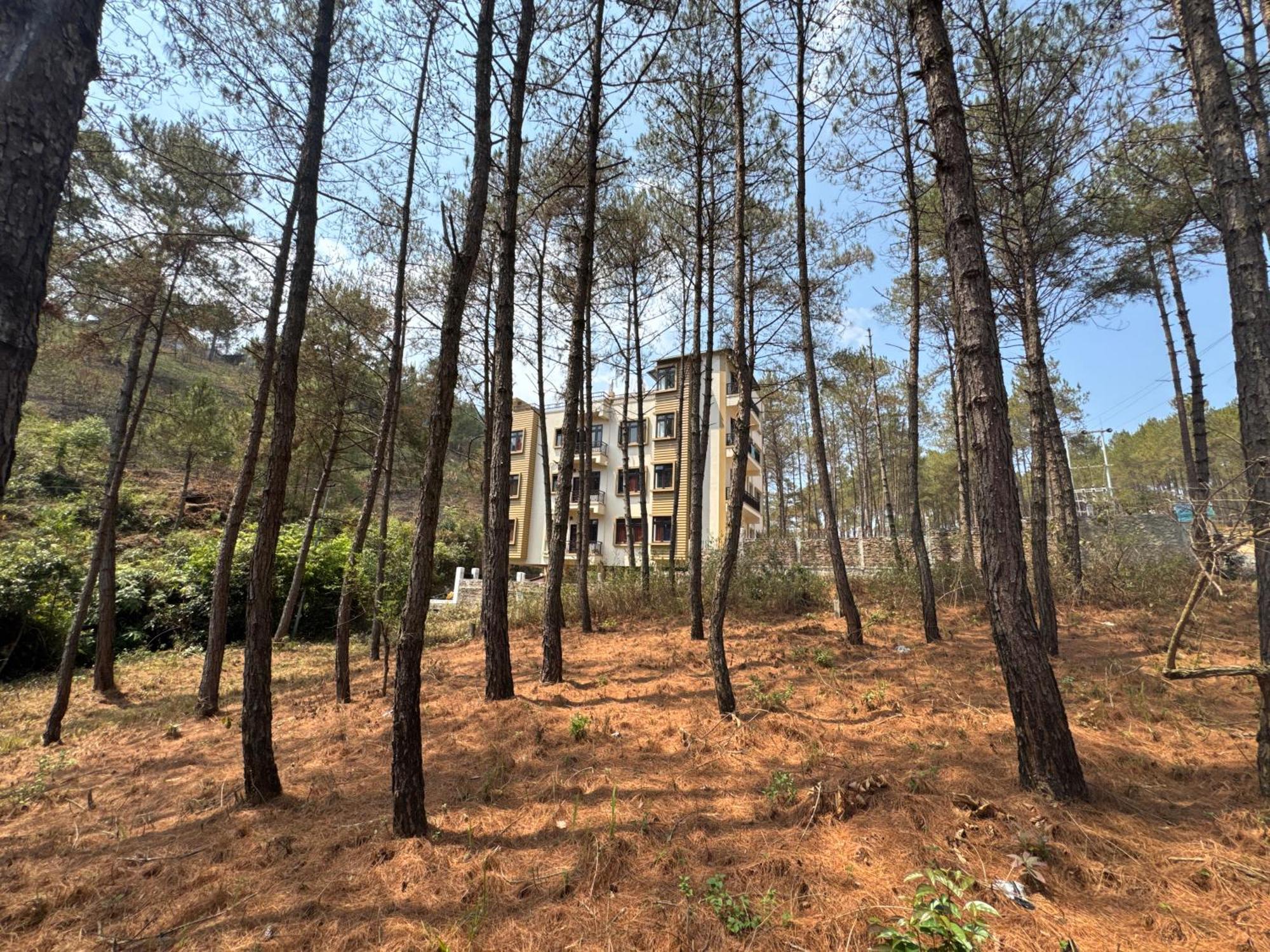 Xtsy Travellers Hostel Shillong Luaran gambar